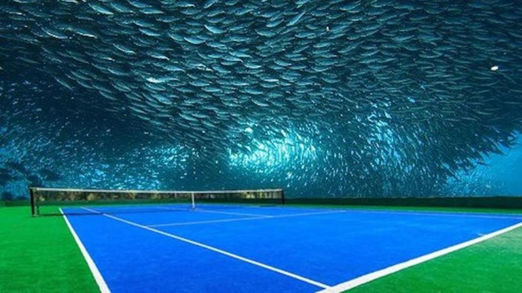 Tenis Bawah Laut